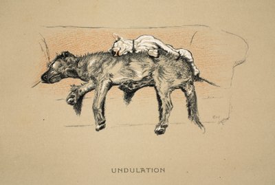 Undulation, 1st Edition of 